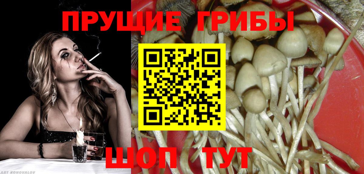 Псилоцибиновые грибы мицелий  Вход с VPN  наркотики  Асбест 